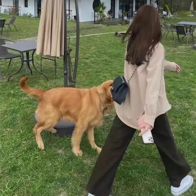 所以我和黑粉结婚了